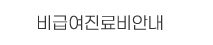 비급여진료안내
